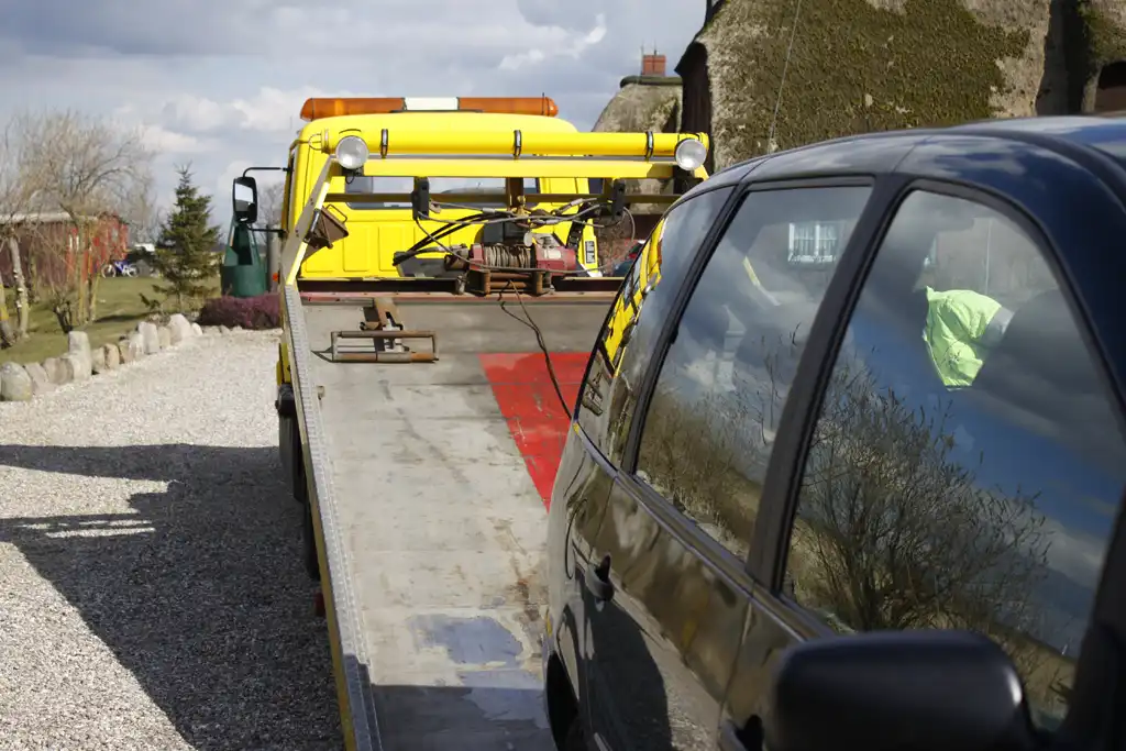 Kostenloser Abhol- und Rücktransport Kostenloser Abhol- und Rücktransport